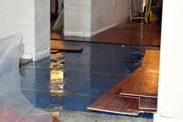 Professional Basement Flood Cleanup technician working in Plainville, GA